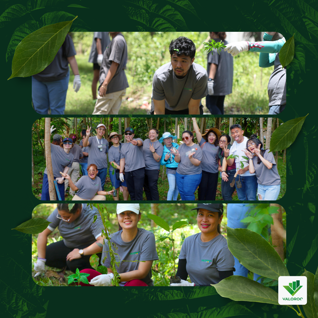 600 seedlings being planted by Valoroo volunteers on Samal Island. Hands planting young trees, symbolizing hope and environmental responsibility by Valoroo.