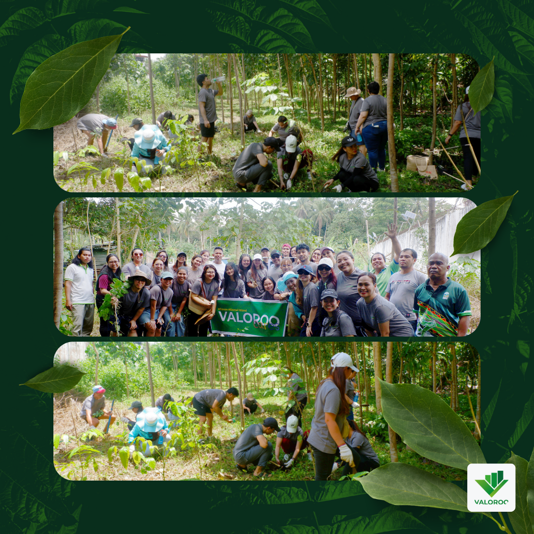 Valoroo employees engaged in tree planting initiative in the Philippines. Valoroo logo alongside newly planted trees on Samal Island.