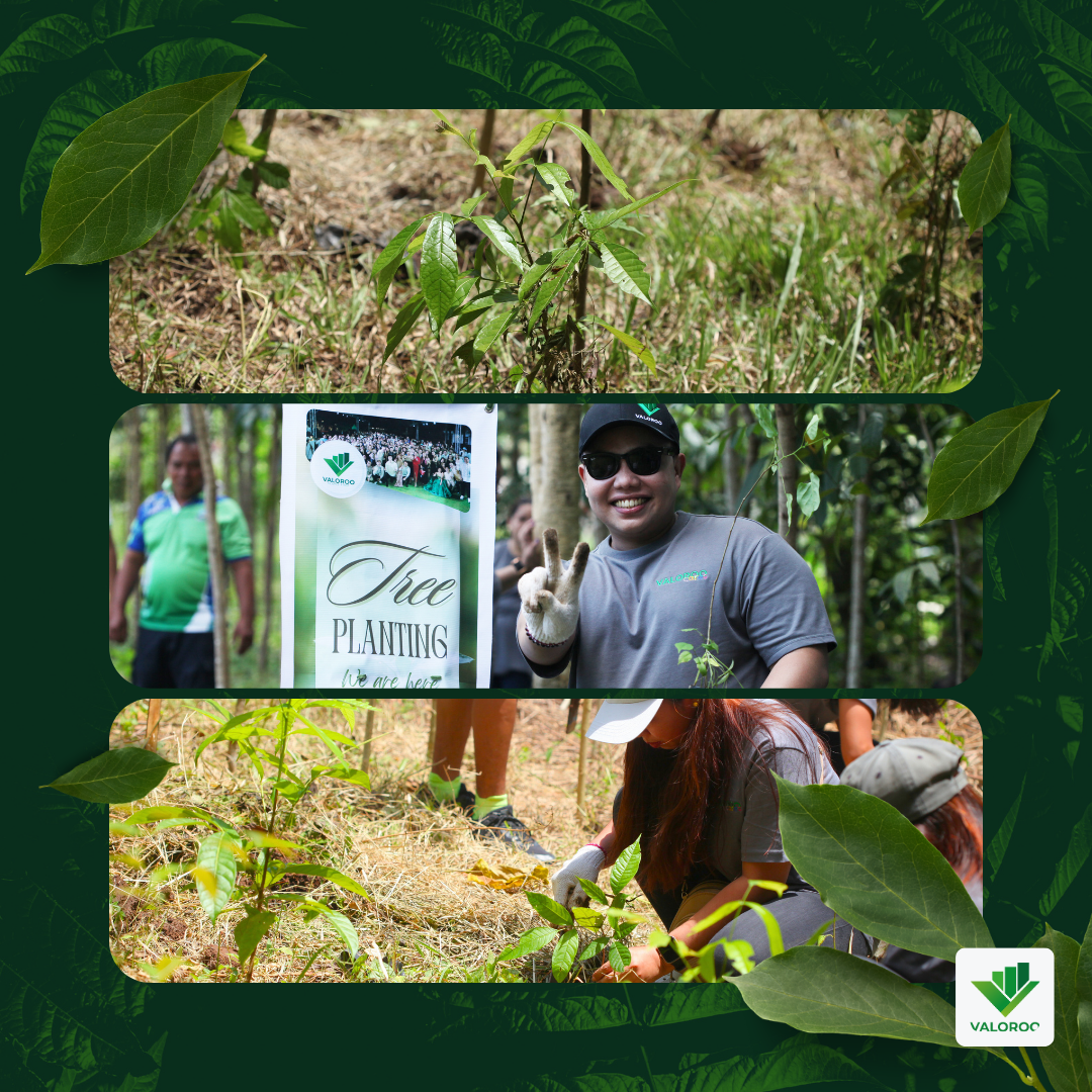 Valoroo Plants Trees in Samal Island Group of Valoroo team members planting seedlings on Samal Island.